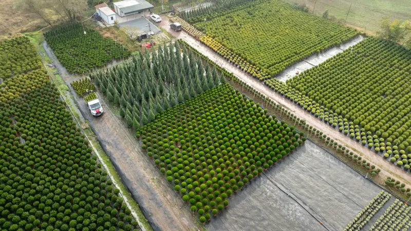 家用厨房电器选购指南：高性价比生活电器配置方案