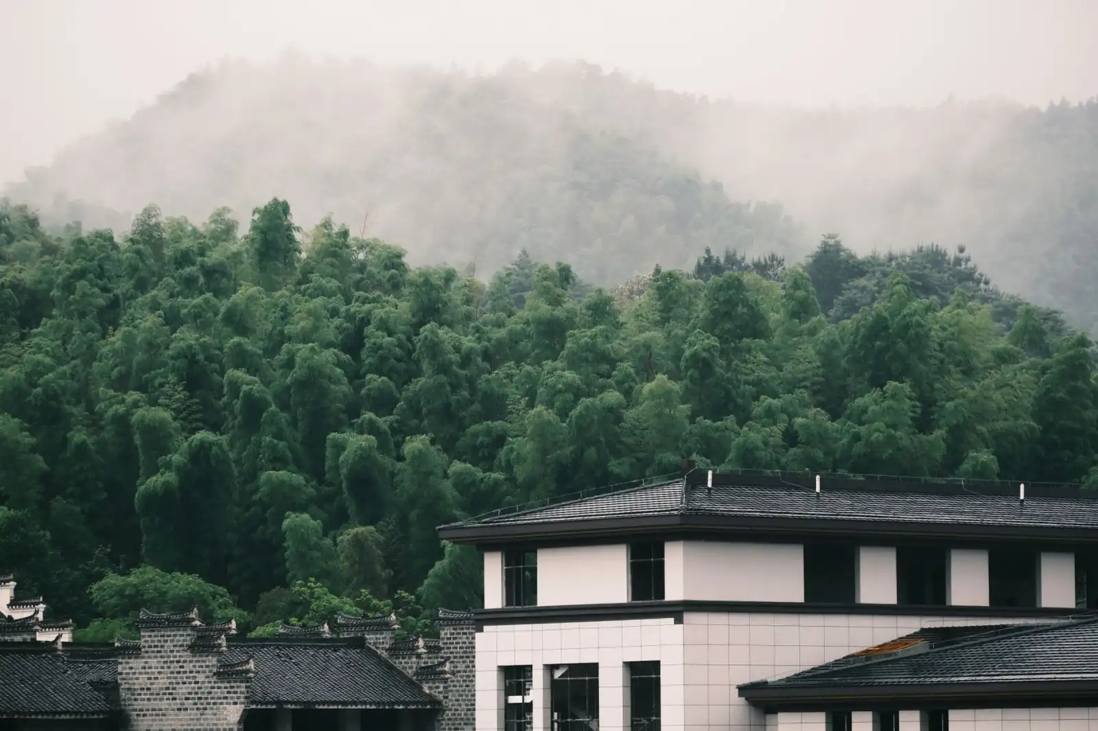 上海寅捌商贸有限公司家用电器选购指南：厨房电器参数对比与性价比分析