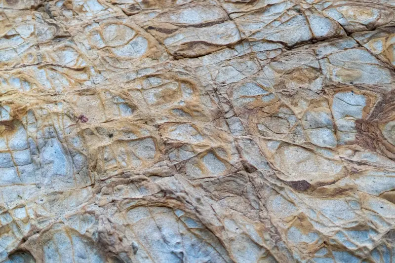 家用电器质量管控要点及小家电生产工艺流程探讨