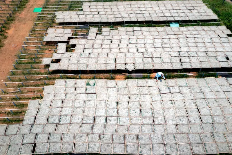厨房电器与生活电器功能整合：提升居家便利性的产品设计解析