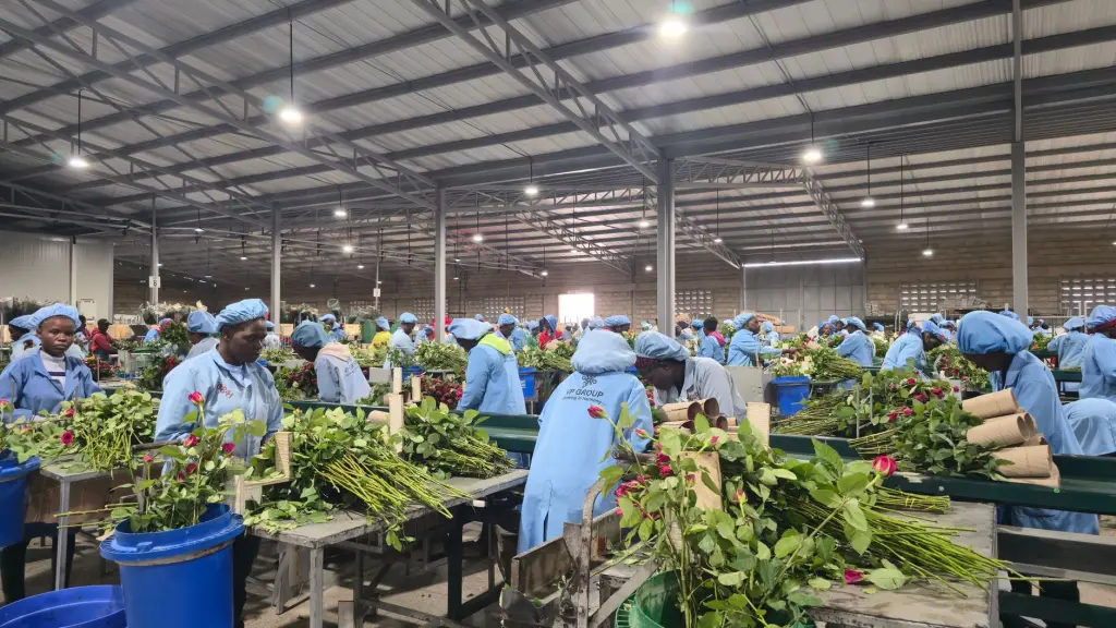 家用电器与生活电器对比分析：核心差异及适用场景解读