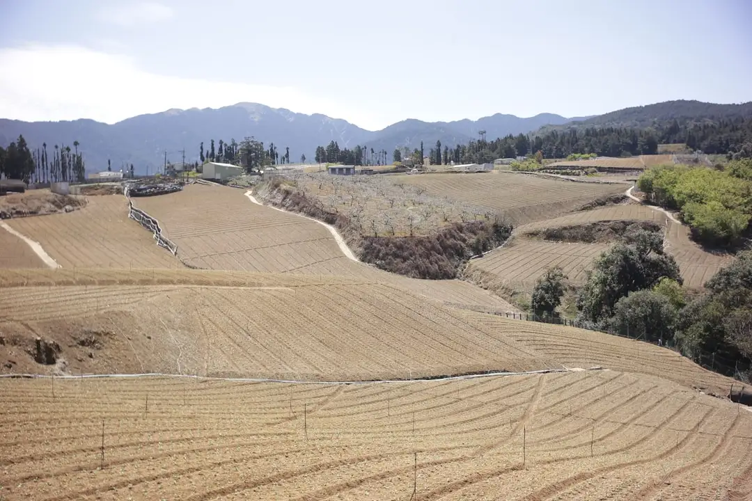 小家电如何提升居家生活便利性？几类实用生活电器应用场景分析