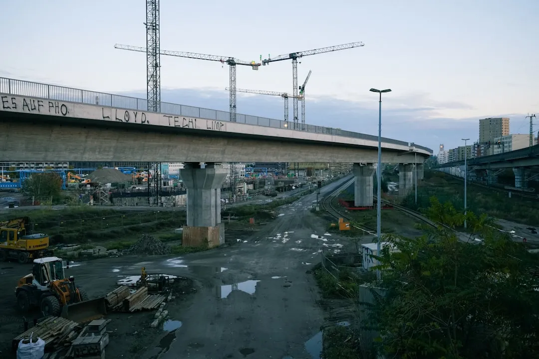 家用电器行业观察：厨房电器与生活电器能效标准升级对上海市场的影响